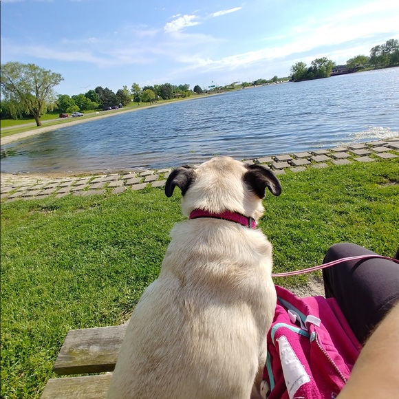 THANK YOU FOR STOPPING BY! ❤@gpuglove❤ - Picture 6 of 6